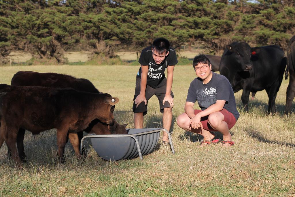 Bimbadeen Phillip Island Farm Retreats Ventnor Eksteriør billede