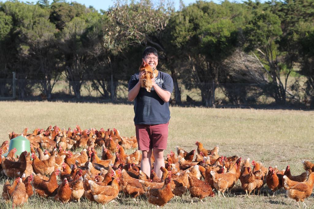 Bimbadeen Phillip Island Farm Retreats Ventnor Eksteriør billede